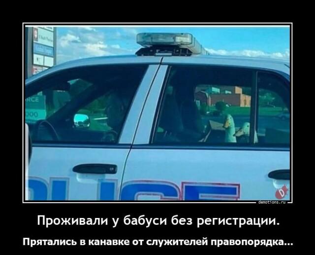 Демотиваторы среды (14 фото)