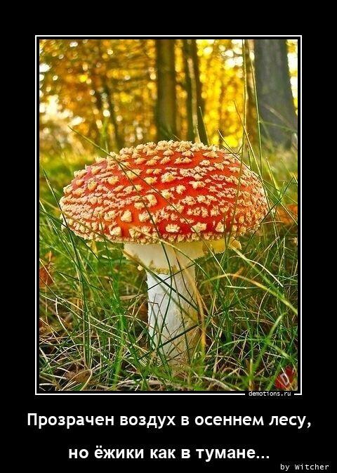 Демотиваторы среды (15 фото)