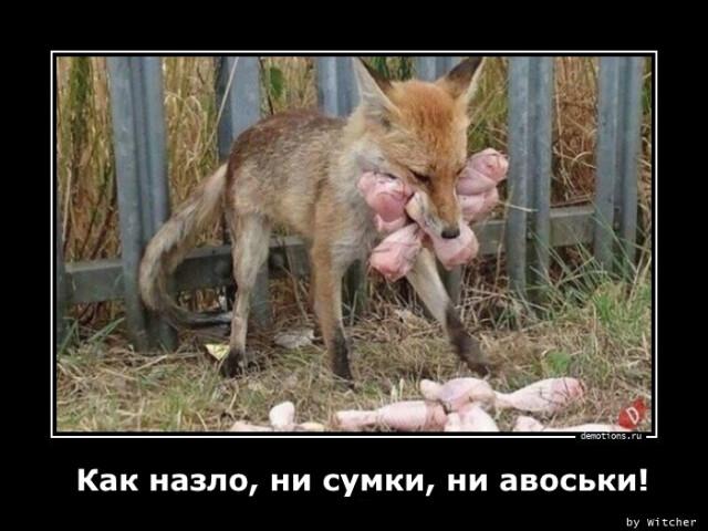 Демотиваторы среды (15 фото)
