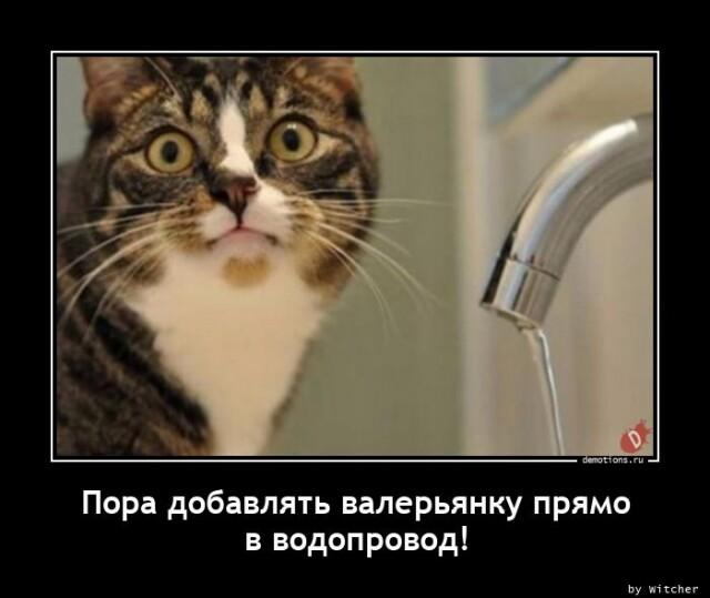 Демотиваторы среды (15 фото)