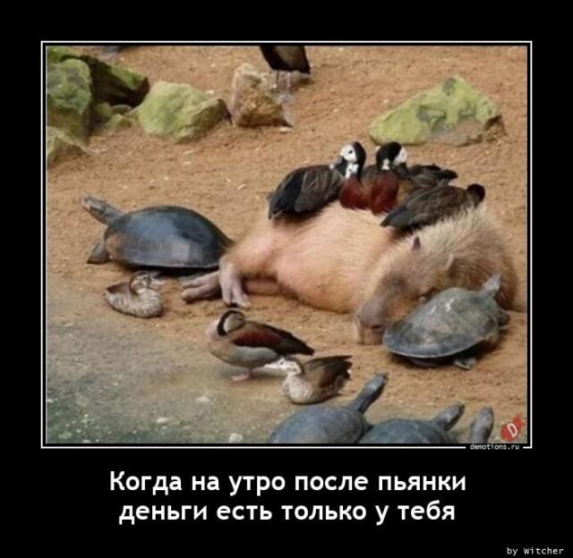 Демотиваторы среды (15 фото)