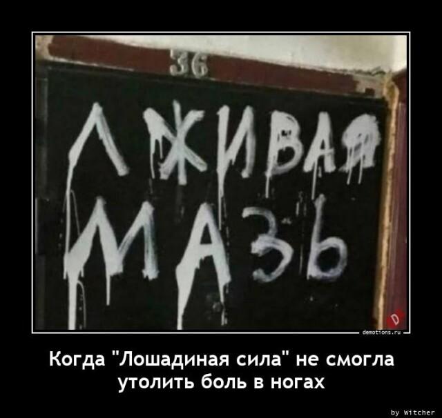Демотиваторы четверга (15 фото)
