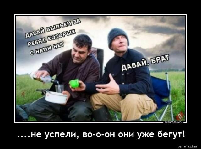 Демотиваторы четверга (15 фото)