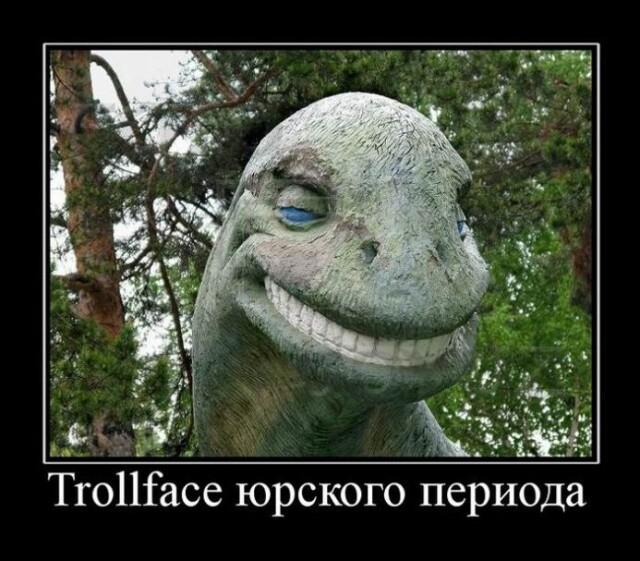 Демотиваторы четверга (15 фото)