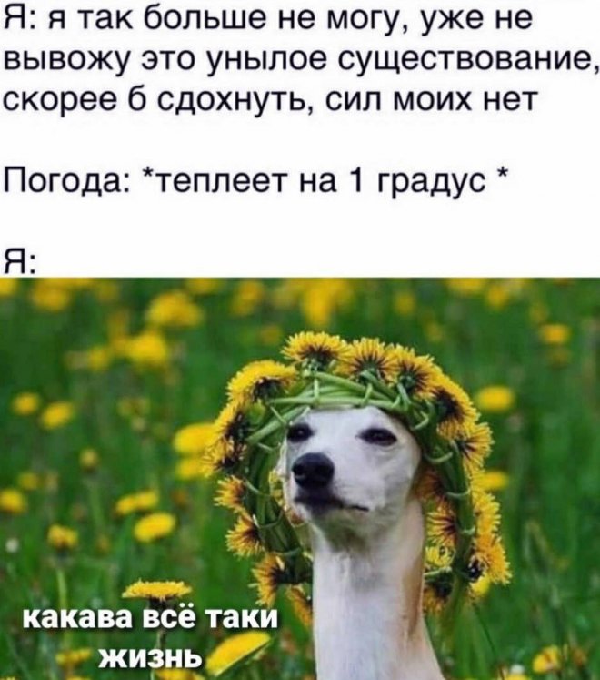 !     (28 )