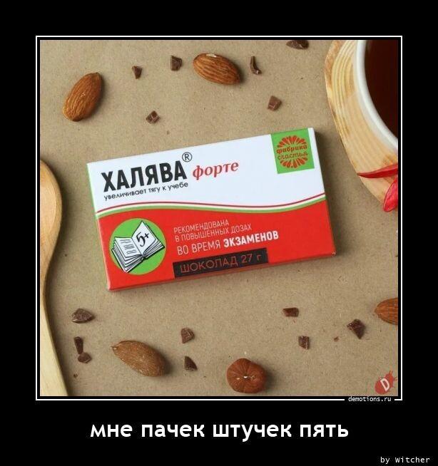 ������������ ������������ (12 ����)
