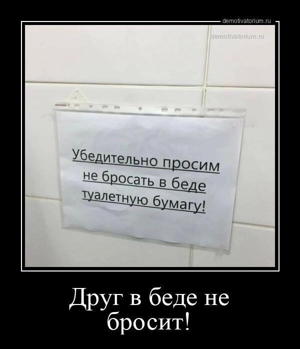 ������������ ������������ (12 ����)