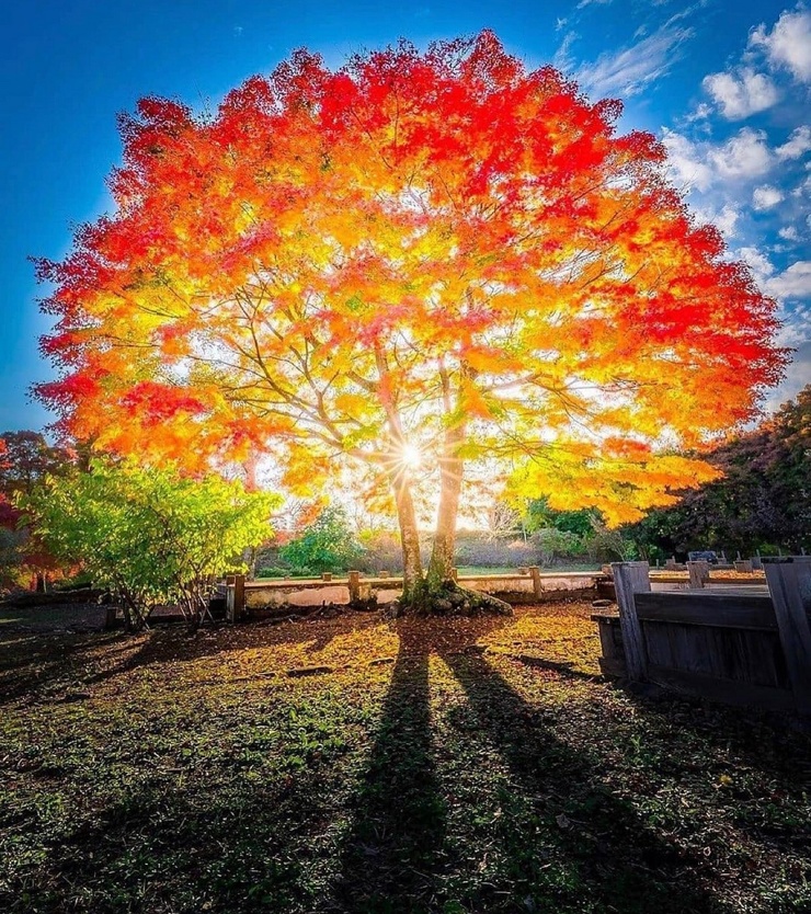 Улыбочку! Свежие мемы для настроения (30 фото)