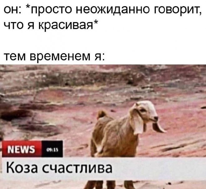Улыбочку! Свежие мемы для настроения (30 фото)