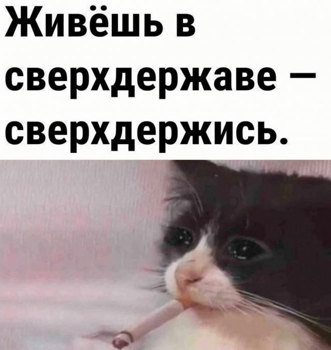Улыбочку! Свежие мемы для настроения (30 фото)