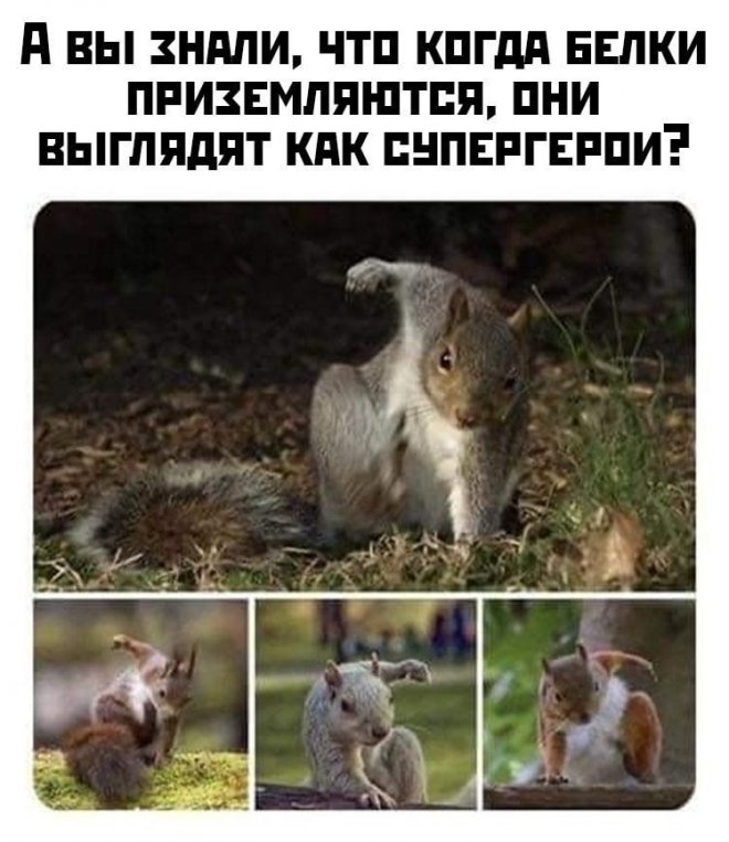 Улыбочку! Свежие мемы для настроения (30 фото)