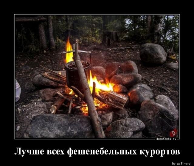 Демотиваторы четверга (12 фото)
