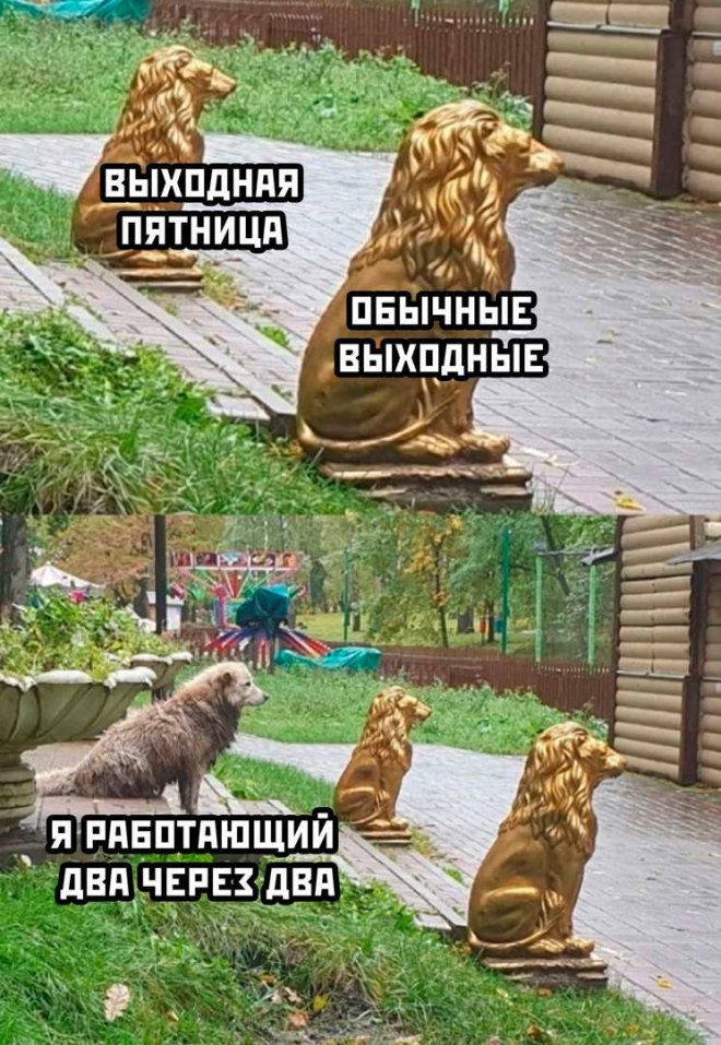 Свежие приколы для настроения (20 фото)