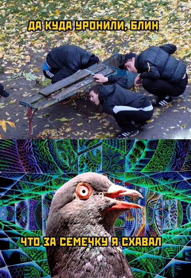 Свежие приколы для настроения (20 фото)