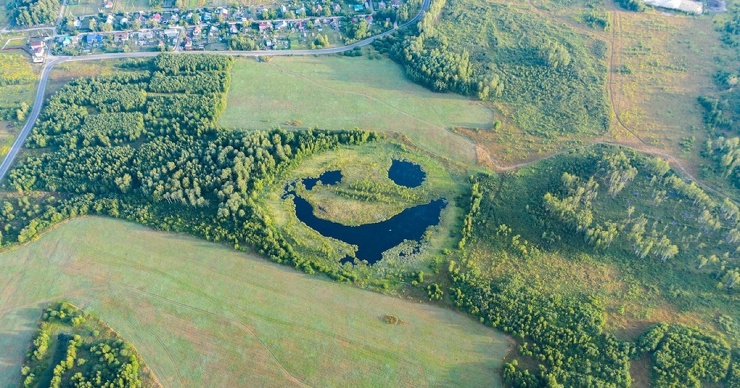 Свежие приколы для настроения (20 фото)