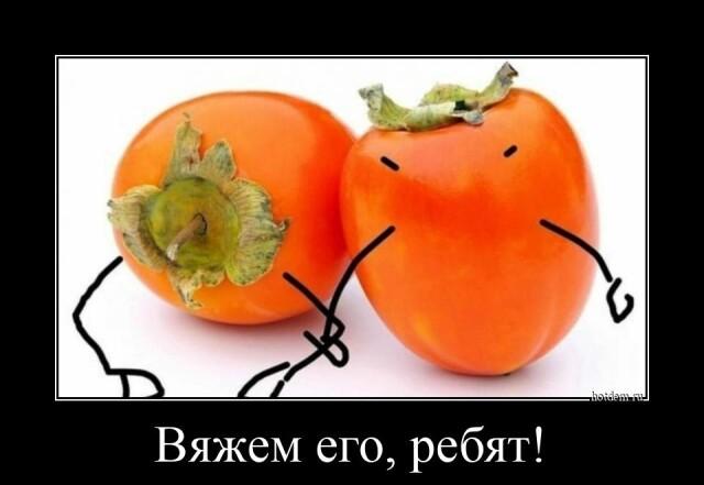 Демотиваторы четверга (20 фото)