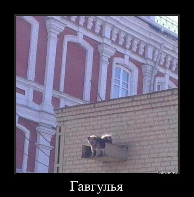 Демотиваторы четверга (20 фото)