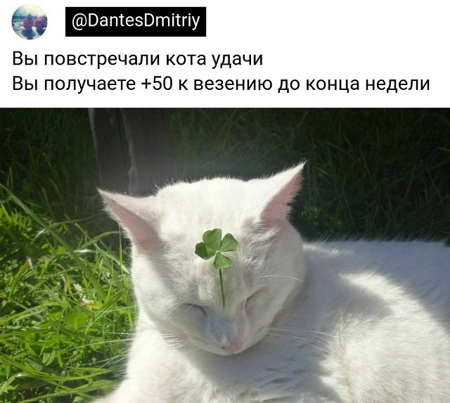 ������ ���� �� �������� (15 ����)