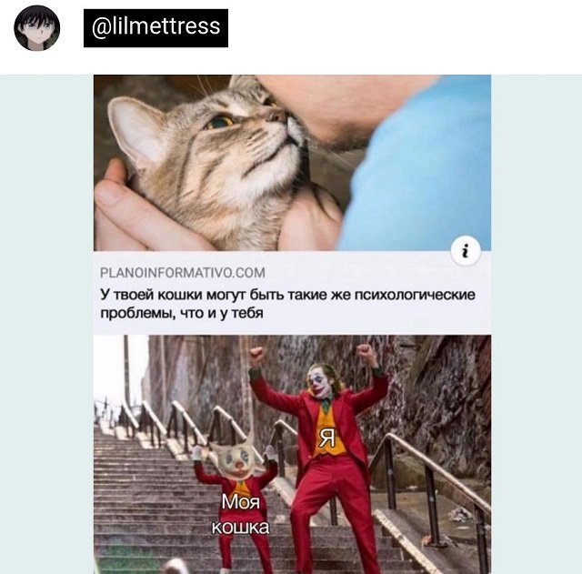 ������ ���� �� �������� (15 ����)