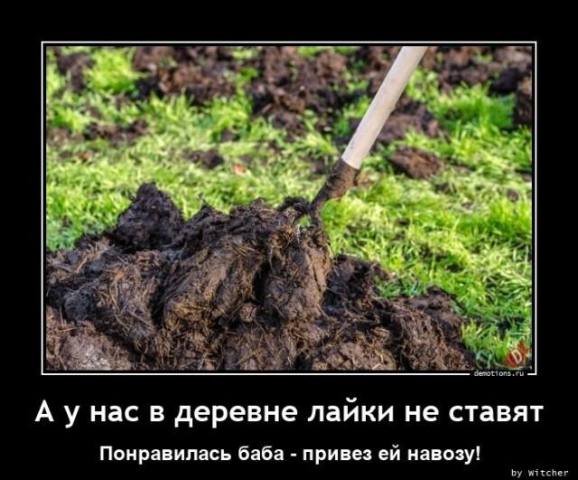 Демотиваторы понедельника (15 фото)