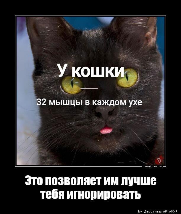 Демотиваторы четверга (12 фото)