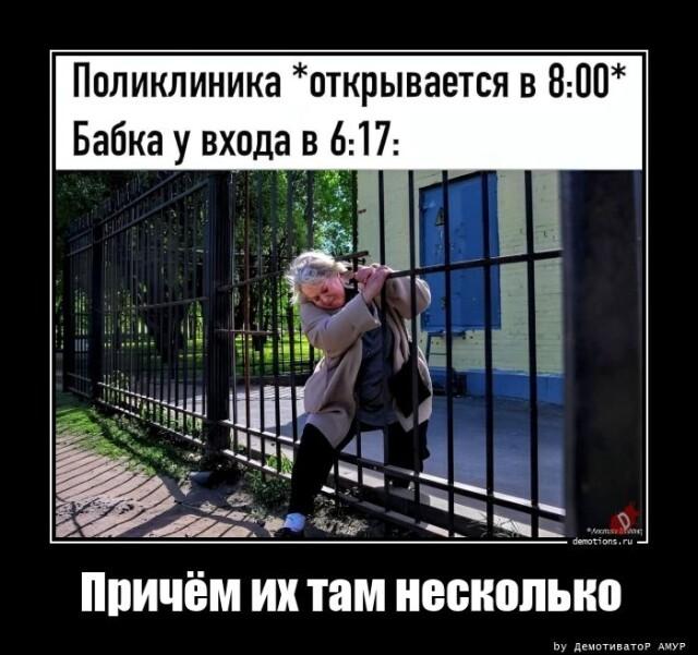 ������������ �������� (18 ����)