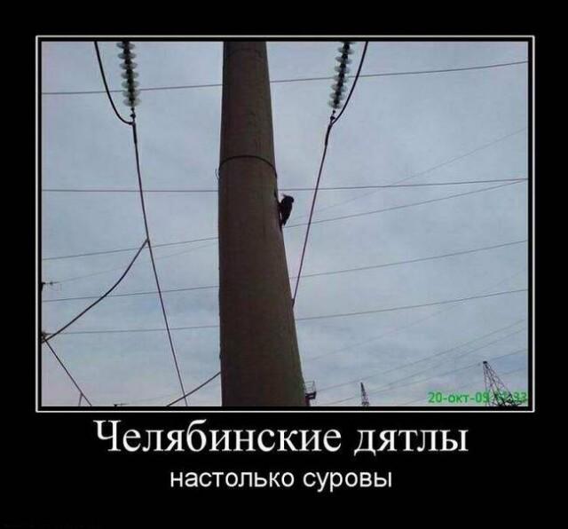 Демотиваторы вторника (14 фото)
