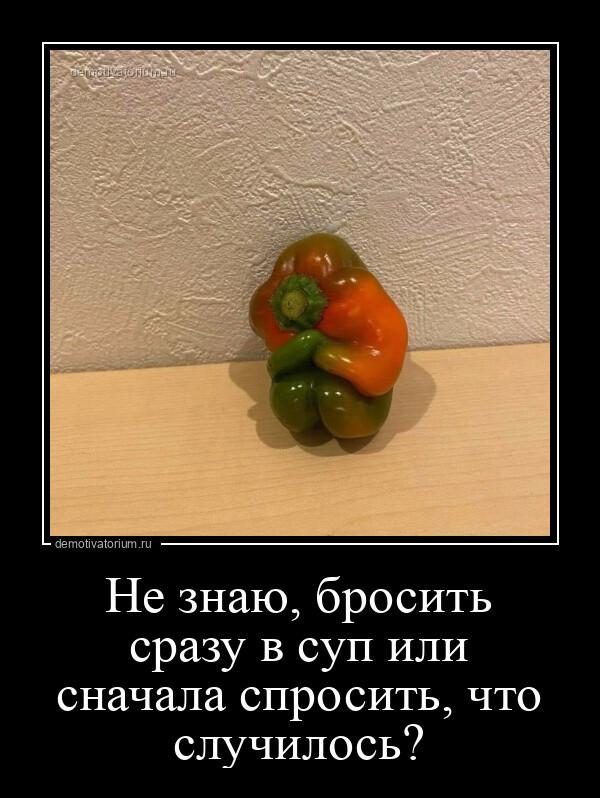 Демотиваторы вторника (14 фото)