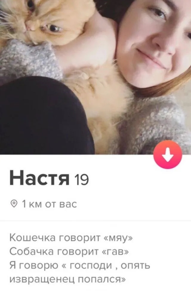   Tinder (13 )