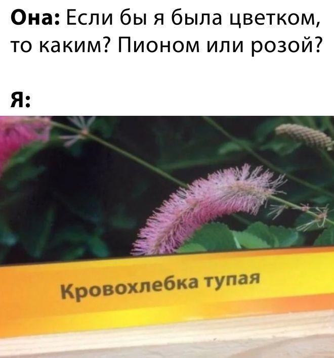!       (30 )