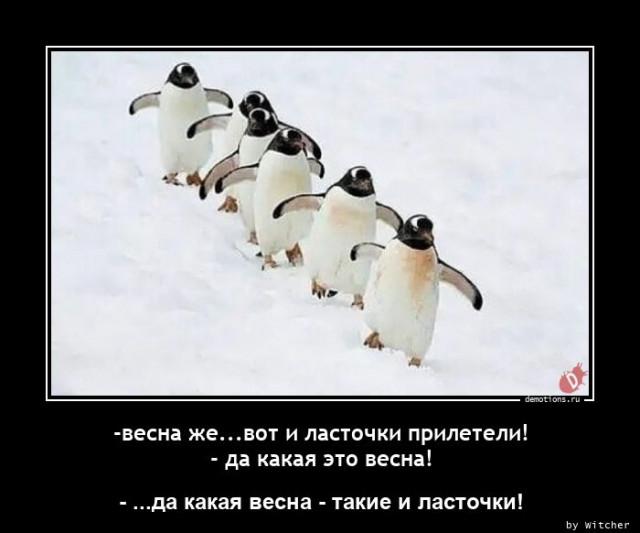 Демотиваторы четверга (14 фото)