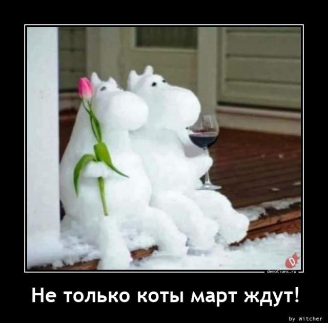 Демотиваторы четверга (14 фото)