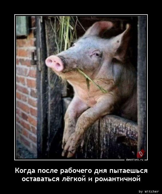 Демотиваторы четверга (14 фото)