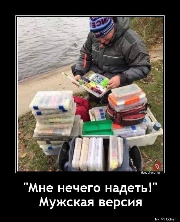 ������������ �������� (14 ����)