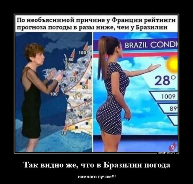 ������������ �������� (14 ����)