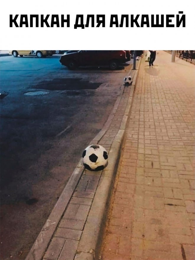 ������� ������ ����� � �������� (30 ����)