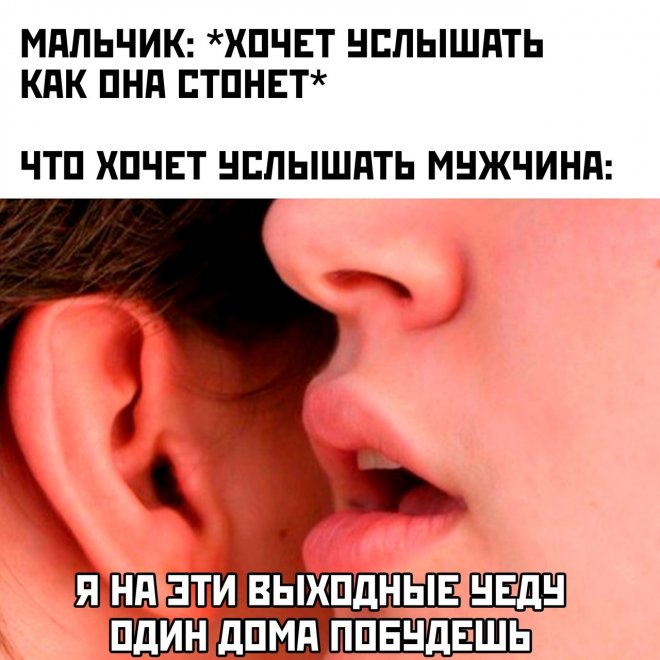 ������� ������ ����� � �������� (30 ����)