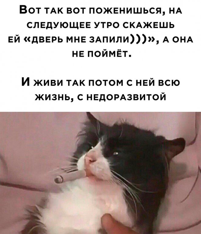 ������� ������ ����� � �������� (30 ����)