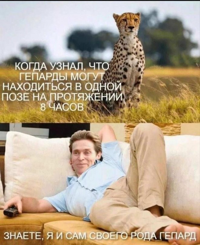 ������� ������ ����� � �������� (30 ����)