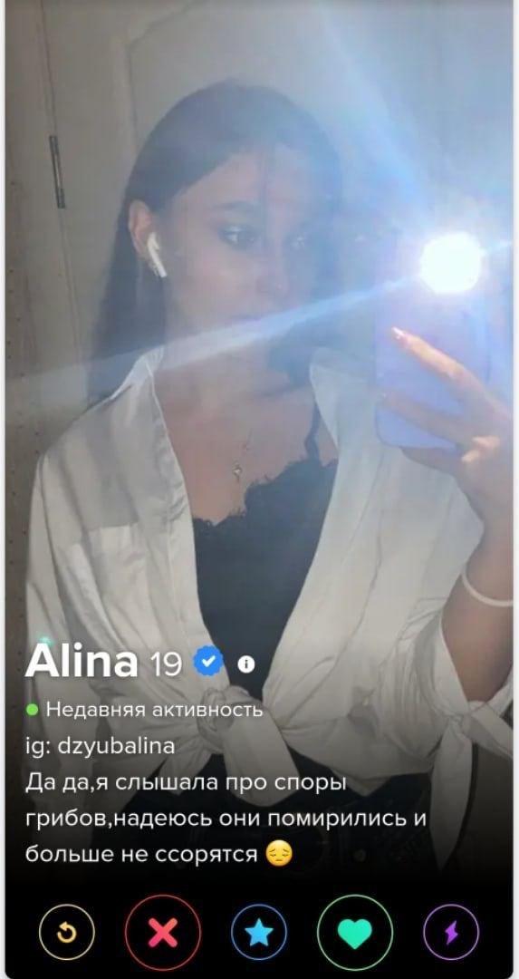    Tinder (15 )
