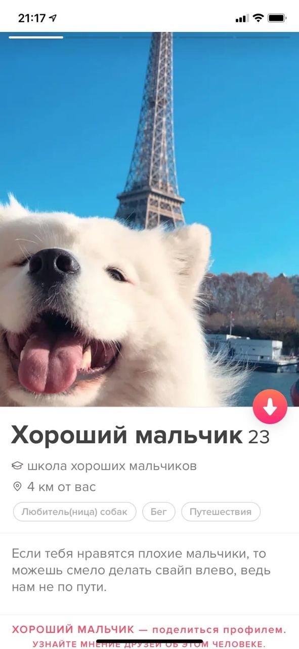     Tinder (15 )