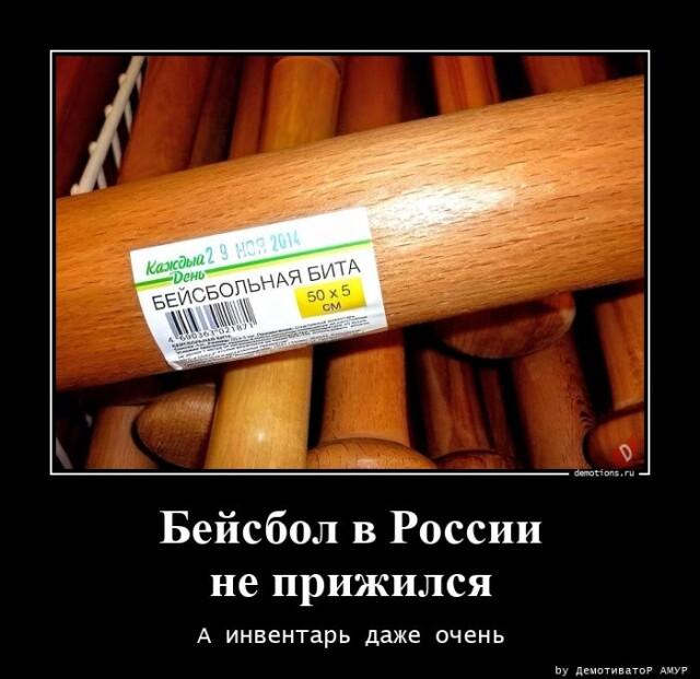 ������������ �������� (16 ����)
