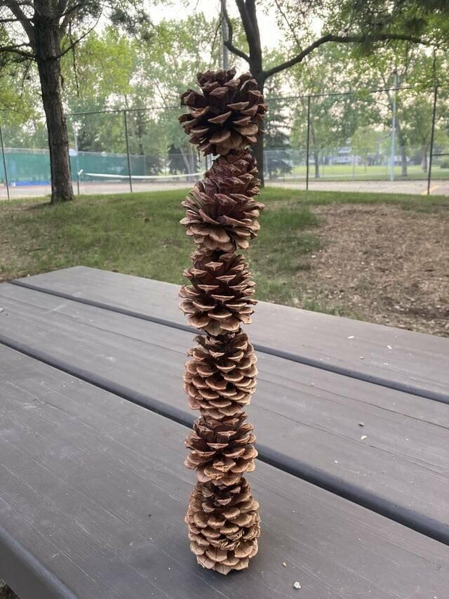 !     (30 )