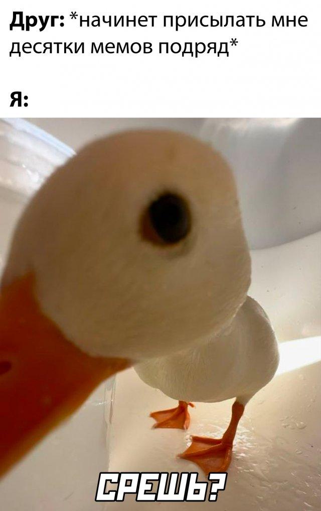 !     (30 )