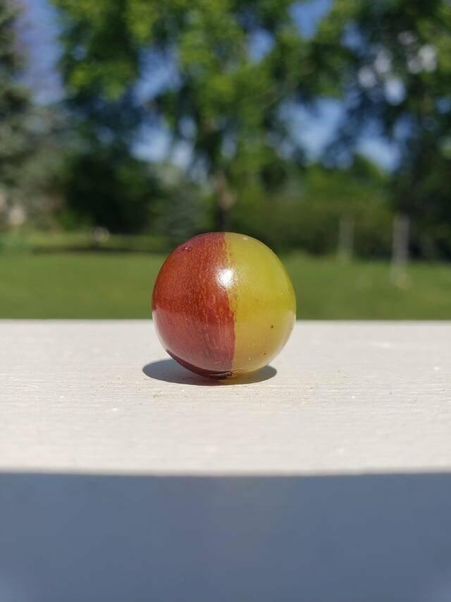 !     (30 )