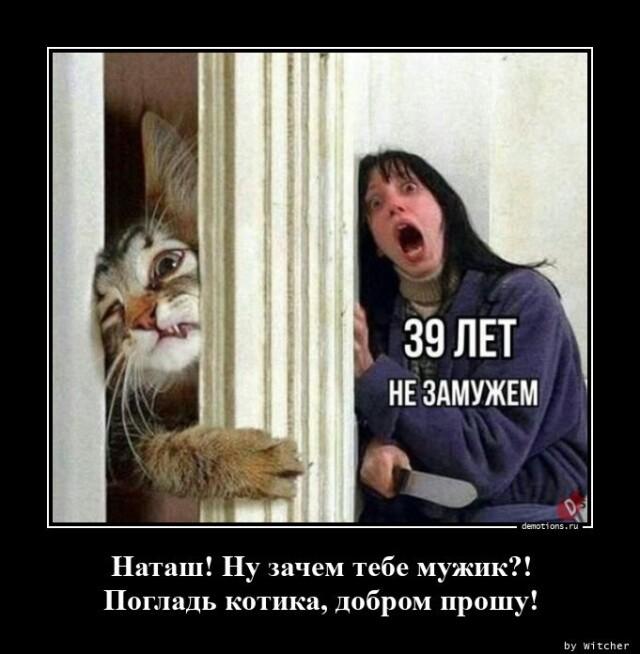 ������������ ������� (18 ����)