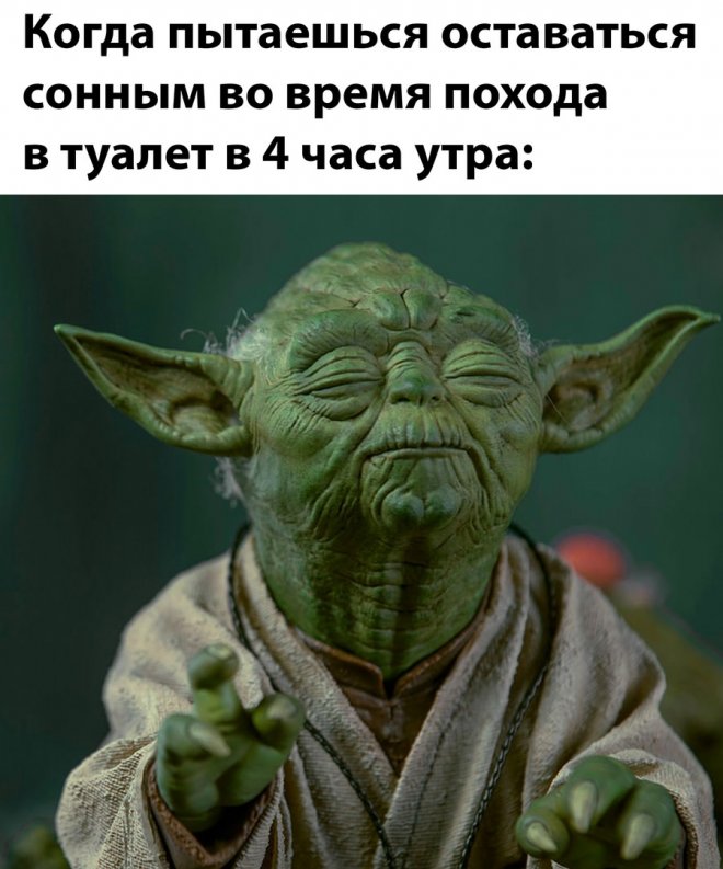 �������� ������ ����� � �������� (35 ����)