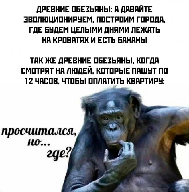 �������� ������ ����� � �������� (35 ����)