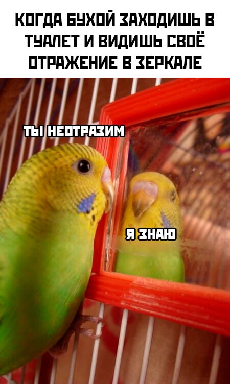 �������� ������ ����� � �������� (35 ����)