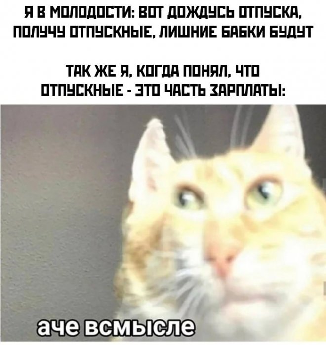 �������� ������ ����� � �������� (35 ����)
